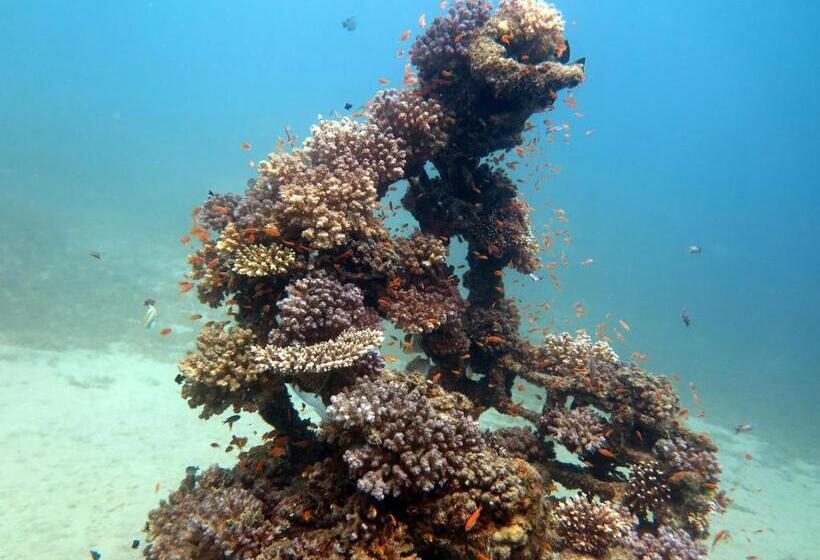 Deep Blue Divers Hostel Dahab