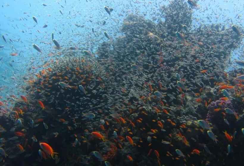 Deep Blue Divers Hostel Dahab