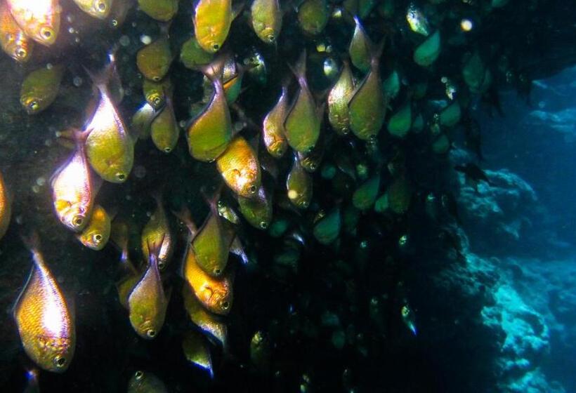 Deep Blue Divers Hostel Dahab