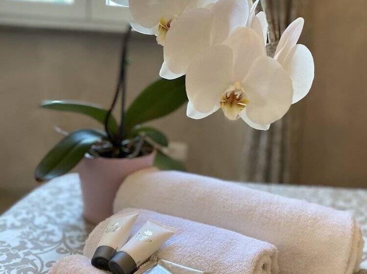 簡易ホテル Domus Valadier B&b Guesthouse