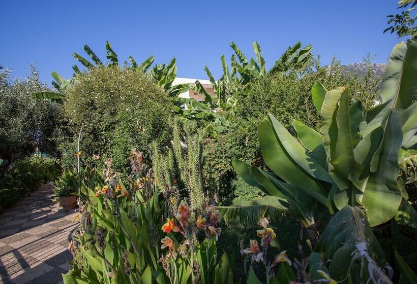 Отель Bali Dorian