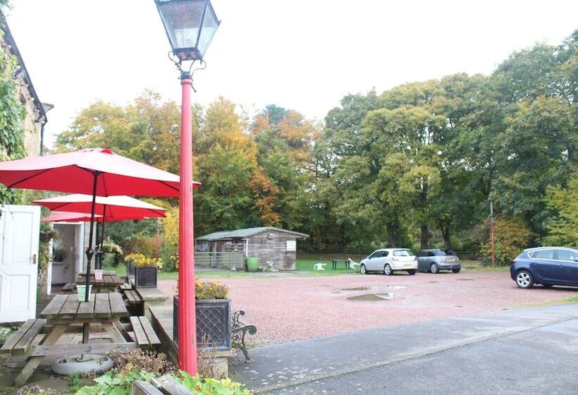 فندق Bay Horse Inn   B&b