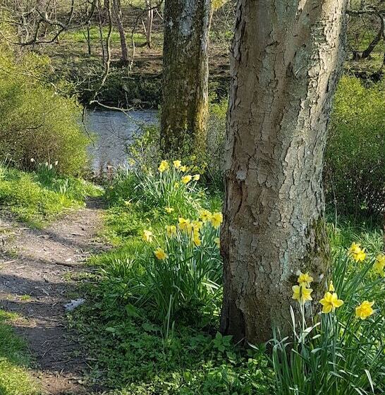 فندق Bay Horse Inn   B&b