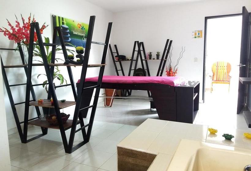 酒店 Boutique Duranta