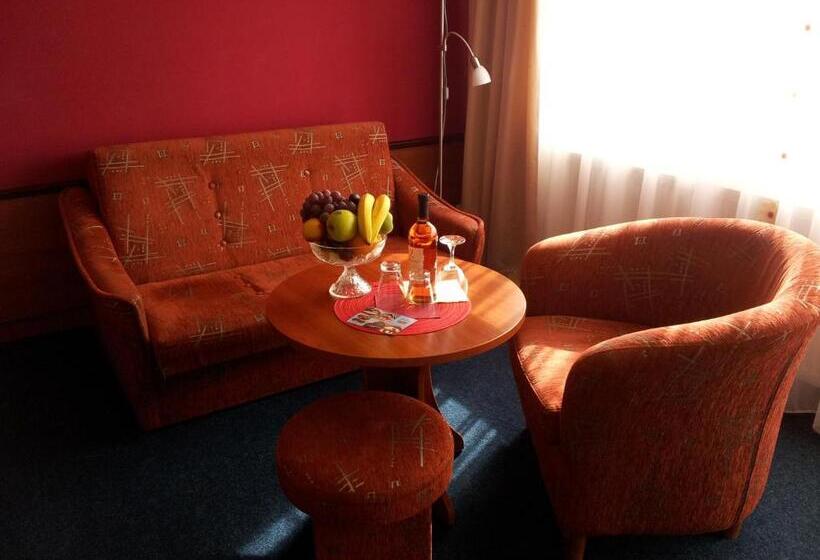 هتل Centrum Harrachov