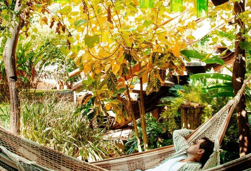 酒店 Chamamé A Sua Pousada Em Bonito