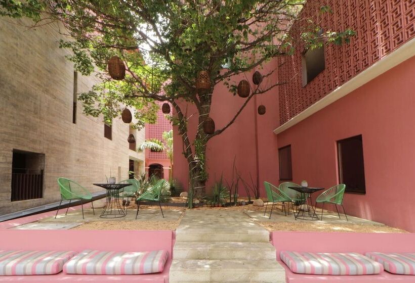 هتل City Centro By Marriott Oaxaca