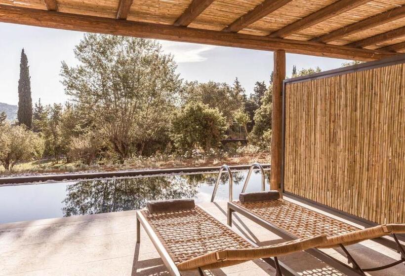 ホテル Cook's Club Corfu - Adults Only