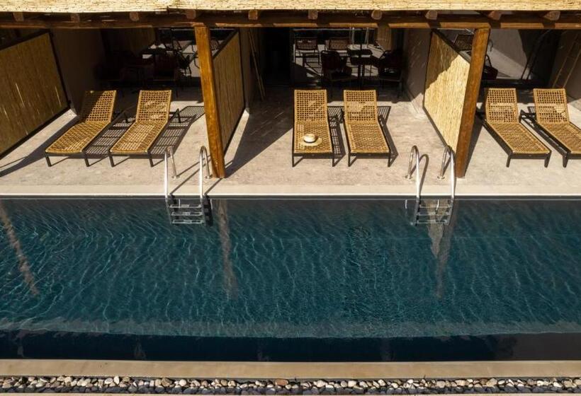 ホテル Cook's Club Corfu - Adults Only