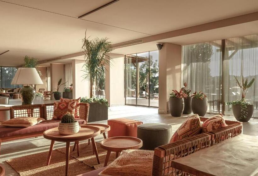 ホテル Cook's Club Corfu - Adults Only