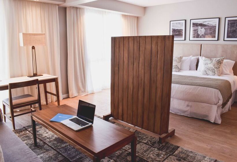 ホテル Cyan Soho Neuquen