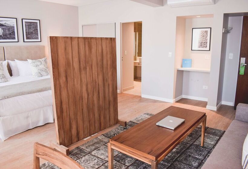 ホテル Cyan Soho Neuquen