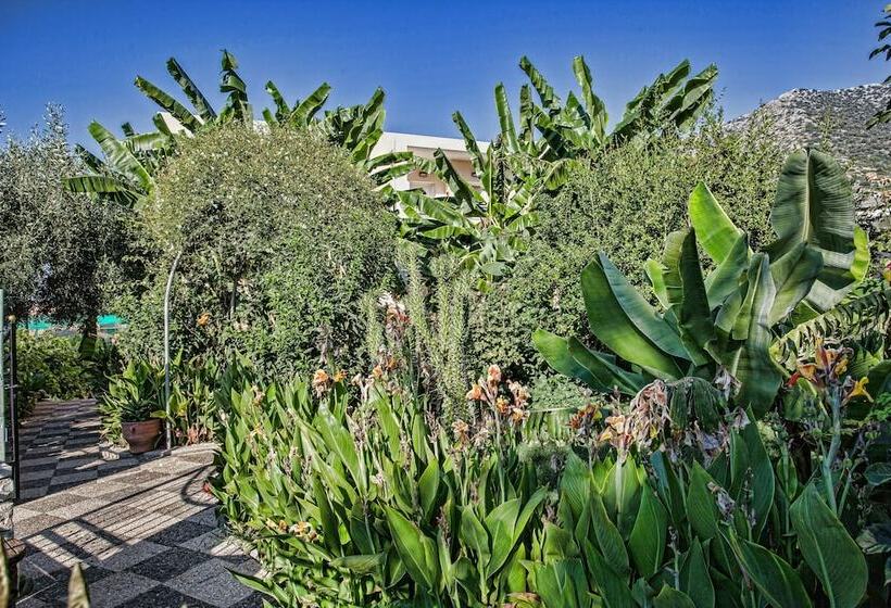 Отель Bali Dorian