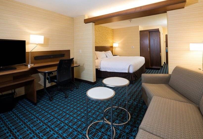 Отель Fairfield Inn & Suites By Marriott Detroit Chesterfield