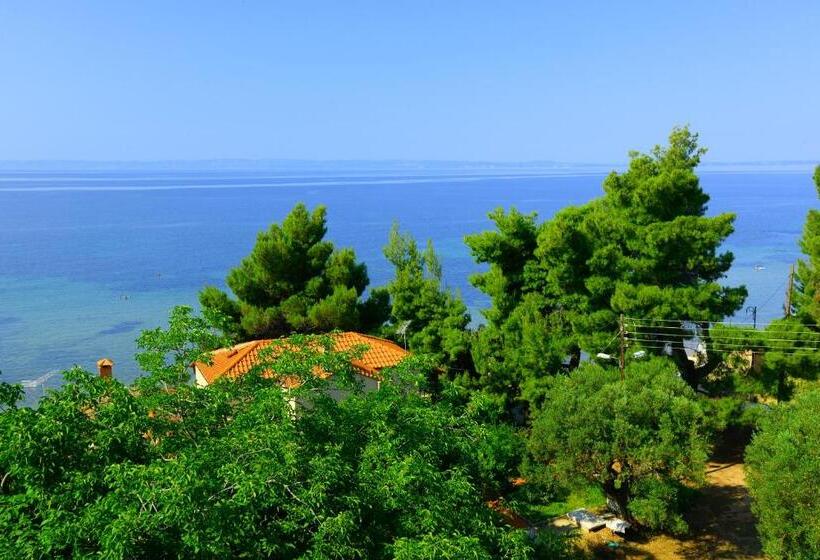 בית מלון כפרי Golden Beach