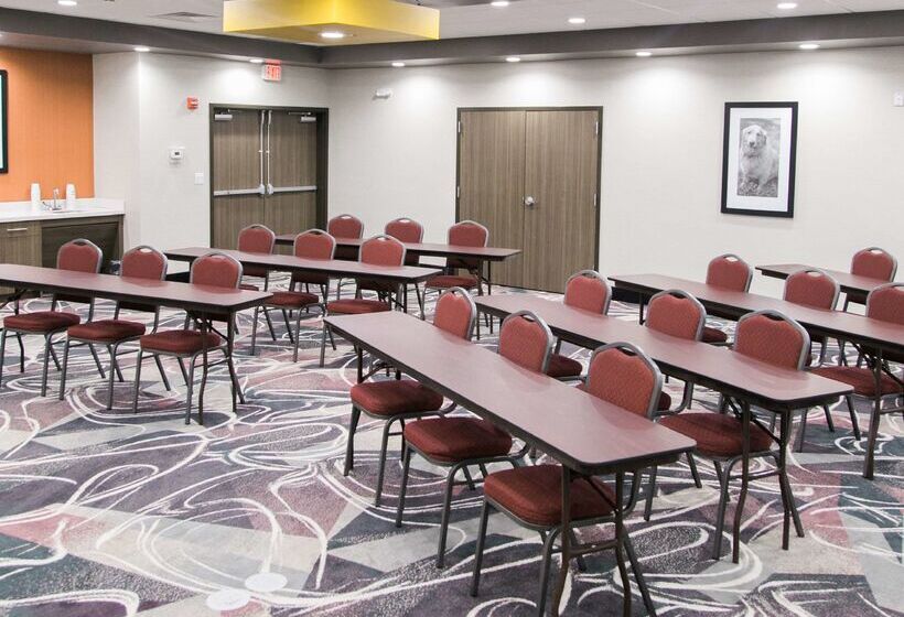 فندق Hampton Inn & Suites Amarillo East
