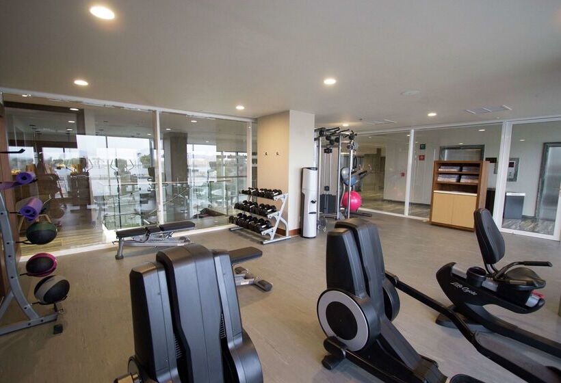 호텔 Fiesta Inn Suites Aeropuerto Del Bajío