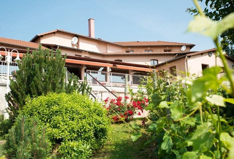 酒店 Hôtel Le Bel Vue