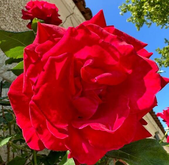 فندق Hôtel & Spa Château De La Côte   Brantôme