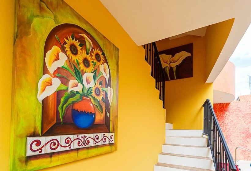 בית מלון כפרי Kaam Accommodations