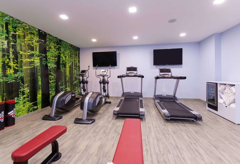 فندق NH Monterrey La Fe