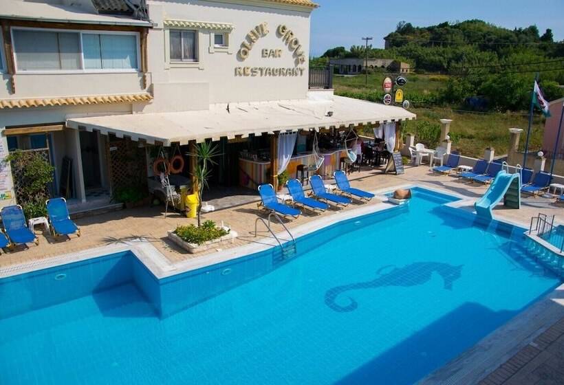 فندق Olive Grove