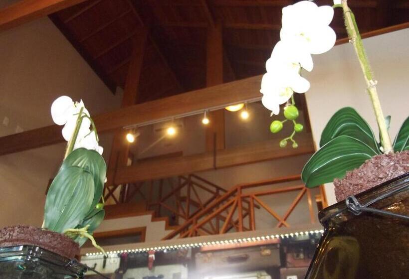 בית מלון כפרי Park Haus