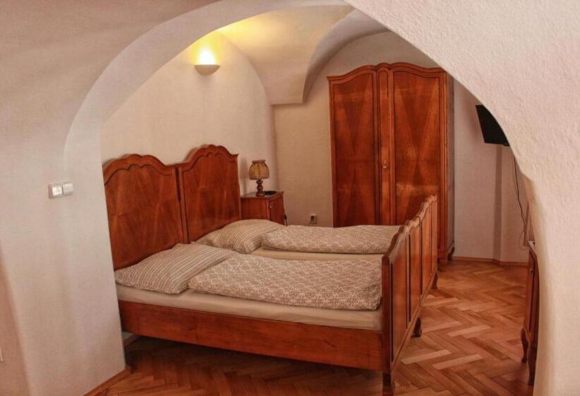 酒店 Penzion Bohemia