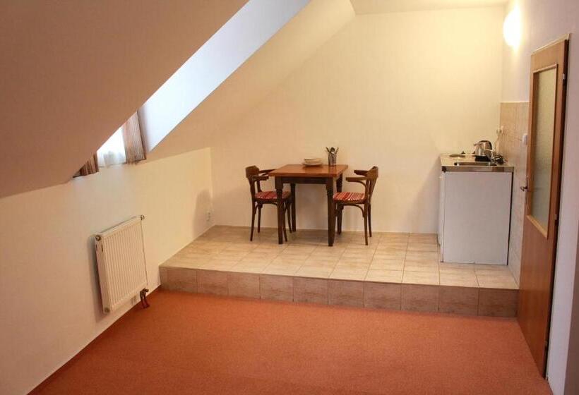 酒店 Penzion Bohemia