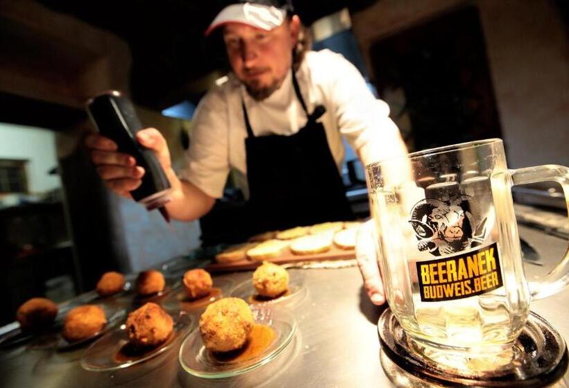 酒店 Penzion Bohemia