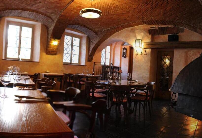 酒店 Penzion Bohemia