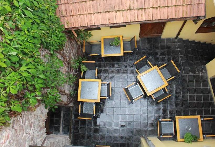 酒店 Penzion Bohemia