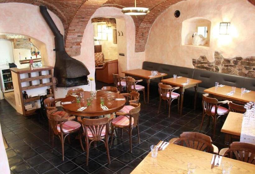 酒店 Penzion Bohemia