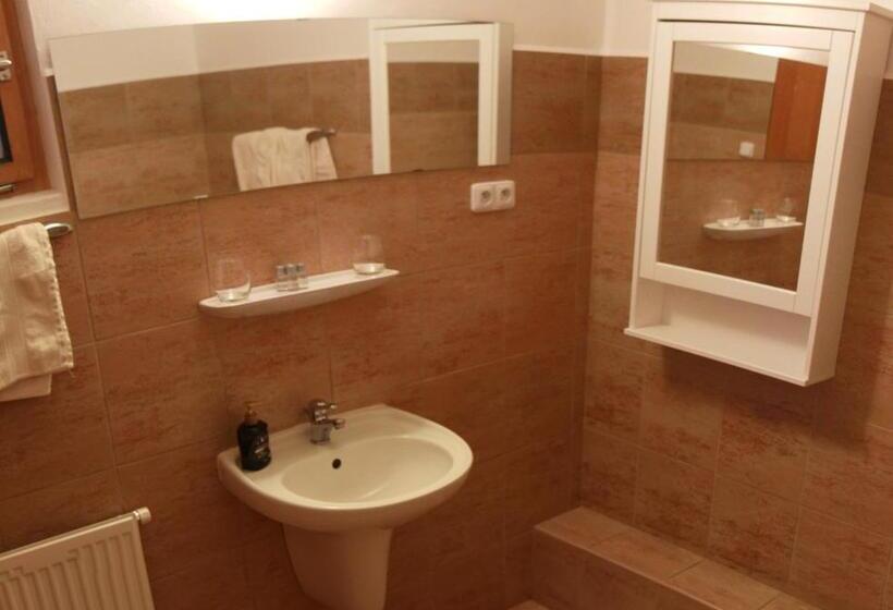 酒店 Penzion Bohemia