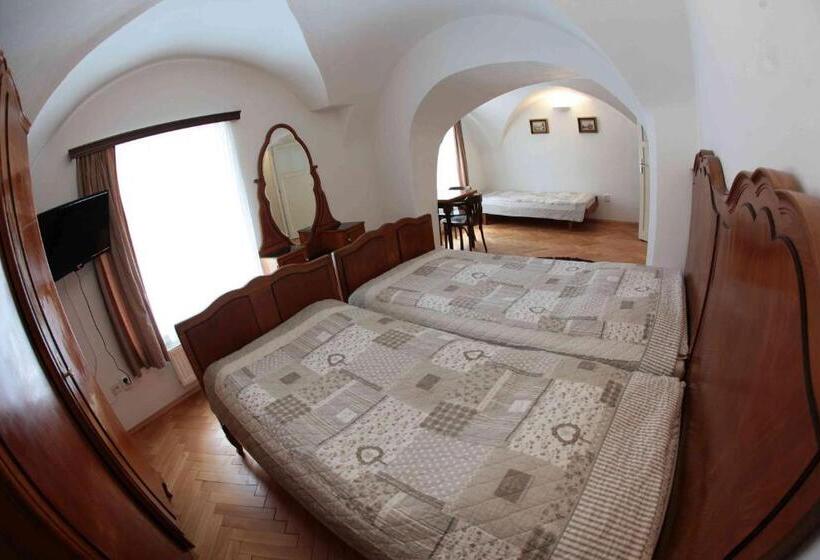 酒店 Penzion Bohemia