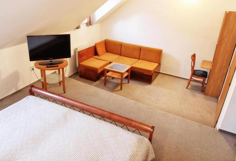 酒店 Penzion Bohemia