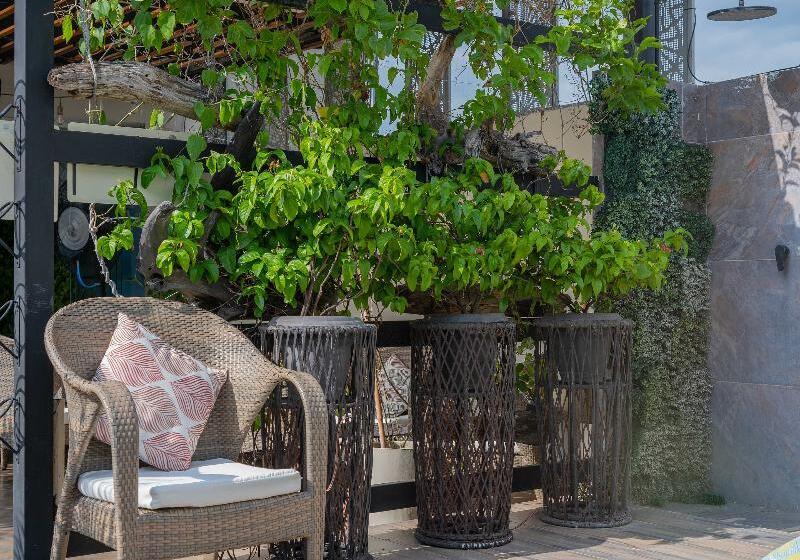 בית מלון כפרי Perla Suite Santa Marta