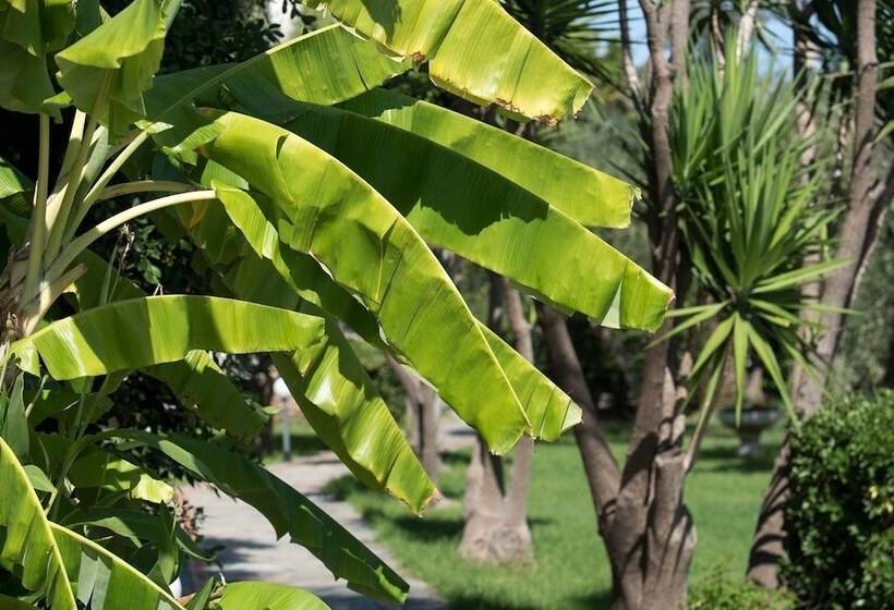 בית מלון כפרי Proimos Apartments