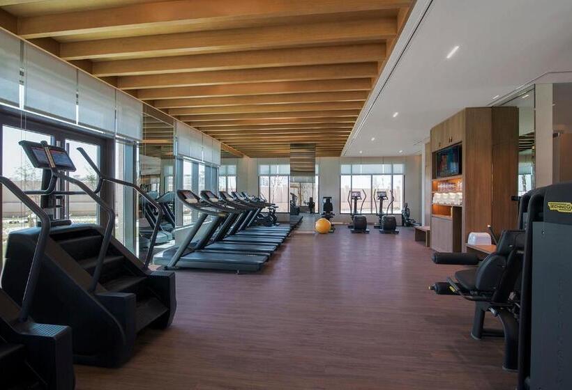 Отель Saadiyat Rotana Resort And Villas