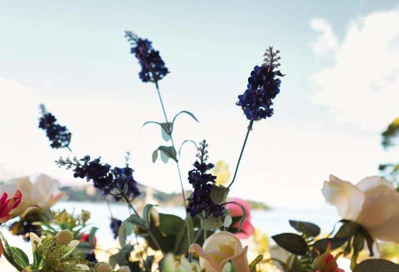 Отель Sirena Beach