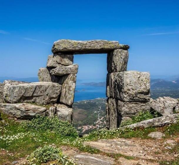 בית מלון כפרי Venus Beach