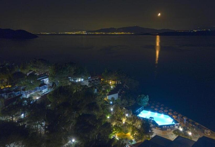 ホテル Venus Beach