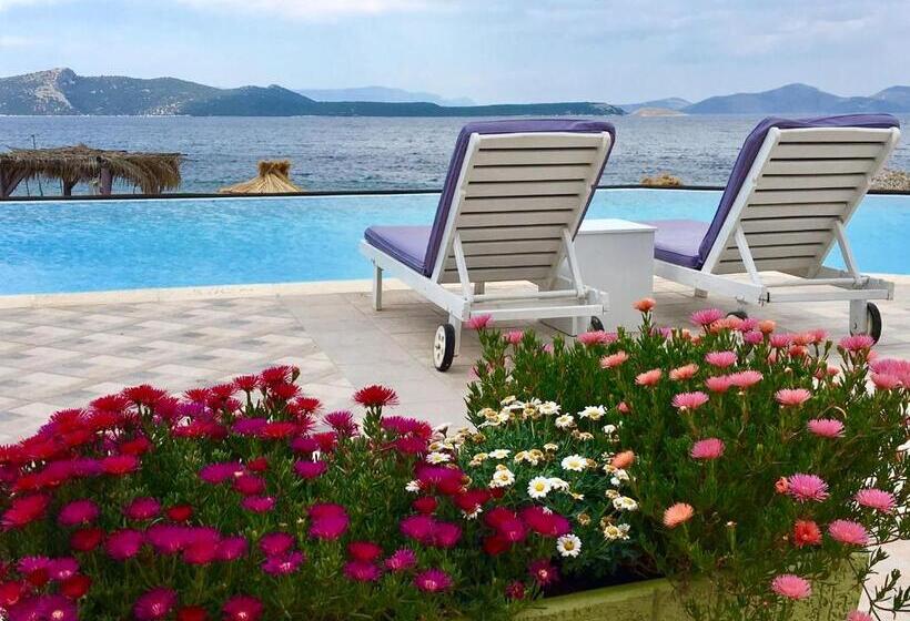 ホテル Venus Beach