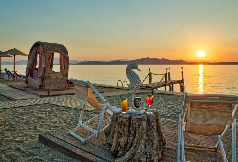 ホテル Venus Beach