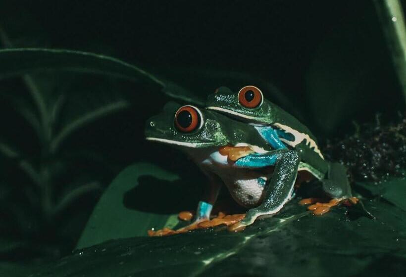 Villa Blanca Cloud Forest Hotel & Retreat