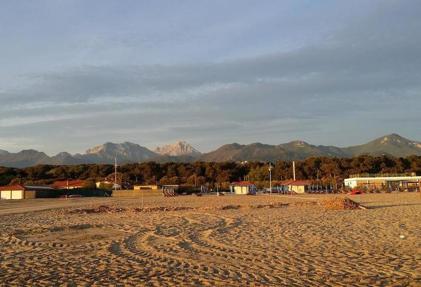 فندق Villa Flores