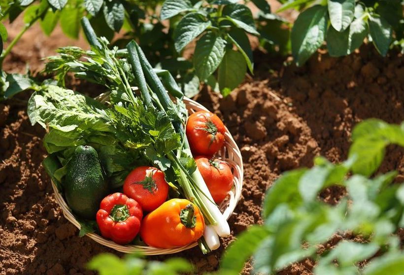 Natalie's Hotel & Apartments