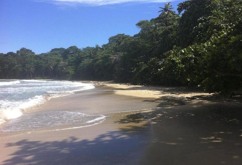 リゾートホテル Samasati Retreat And Rainforest Sanctuary