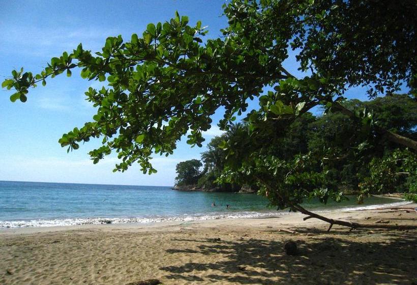 リゾートホテル Samasati Retreat And Rainforest Sanctuary