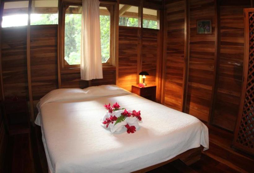 リゾートホテル Samasati Retreat And Rainforest Sanctuary